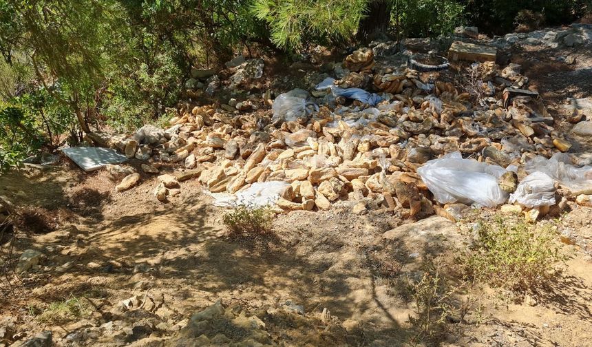Alanya’da küflü ekmek hayvanları tehdit ediyor!