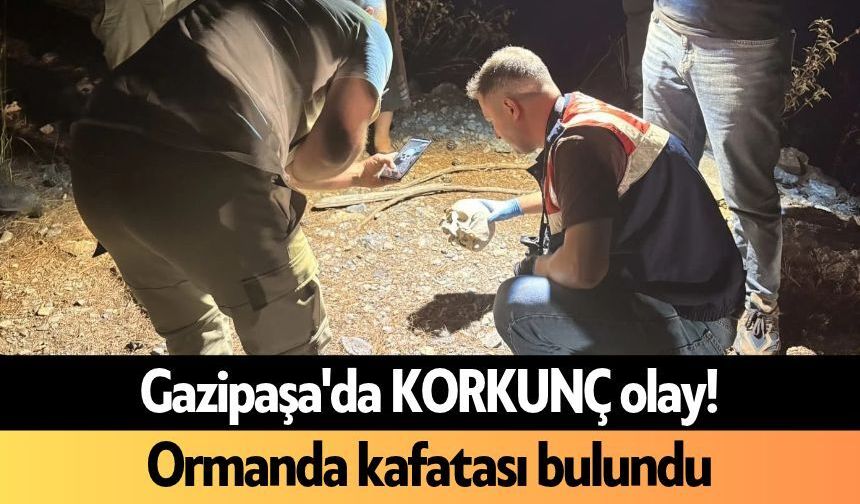 Gazipaşa'da KORKUNÇ olay! Ormanda kafatası bulundu