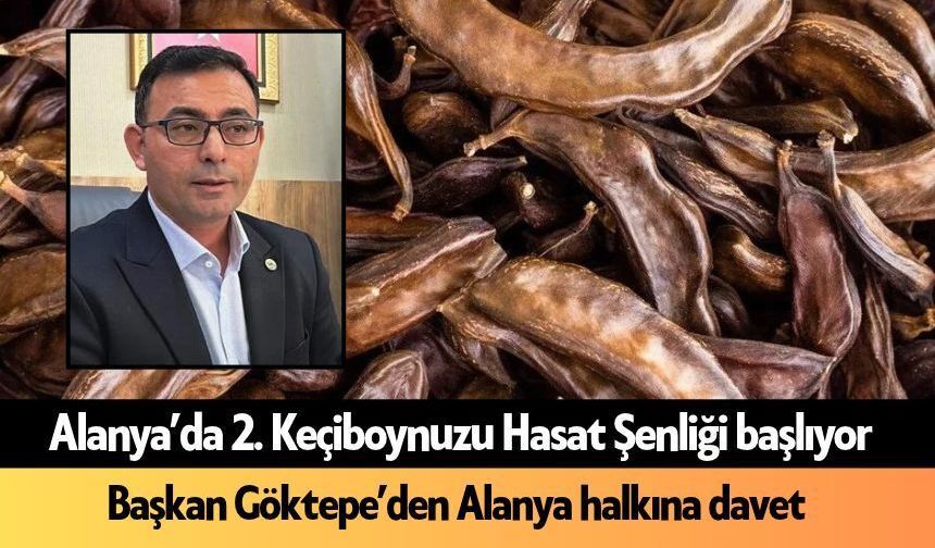 Alanya'da 2. Keçiboynuzu Hasat Şenliği başlıyor