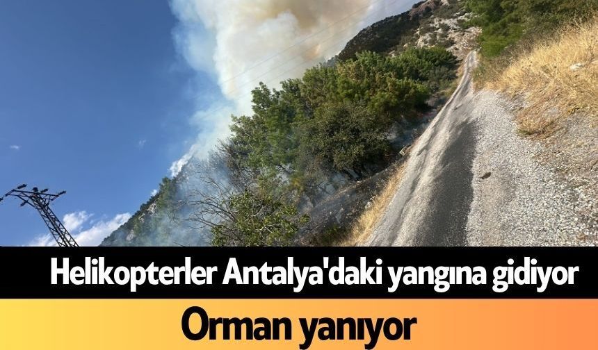 Helikopterler Antalya'daki yangına gidiyor! Orman yanıyor
