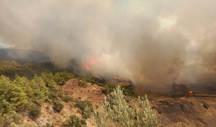 Şimdi de Antalya Kumluca'da yangın çıktı!