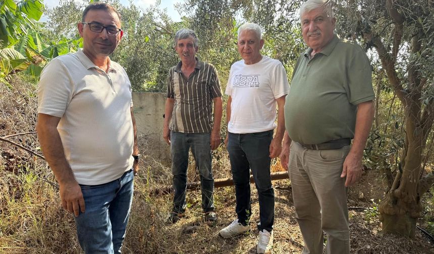 Üreticilerin mağduriyetine ziraat odasından müdahale