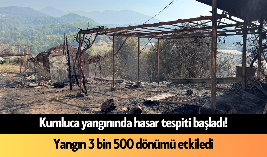 Kumluca yangınında hasar tespiti başladı! Yangın 3 bin 500 dönümü etkiledi
