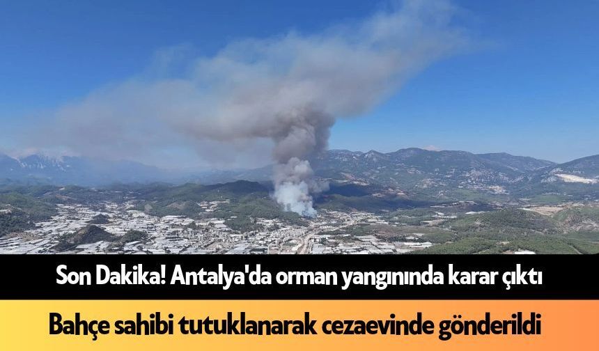Son Dakika! Antalya'da orman yangını şüphelisi tutuklandı