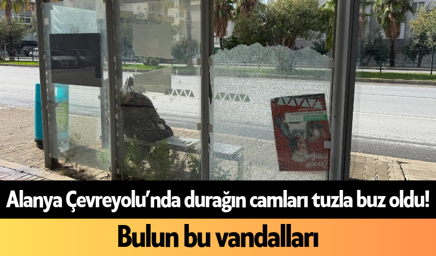Alanya Çevreyolu’nda durağın camları tuzla buz oldu! Bulun bu vandalları