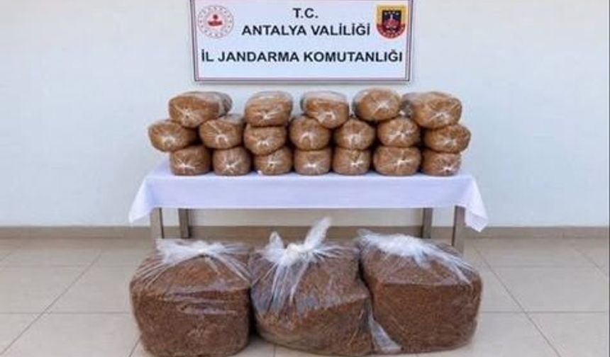 Alanya'da yüzlerce kiloluk kaçak zehir sevkiyatı çökertildi