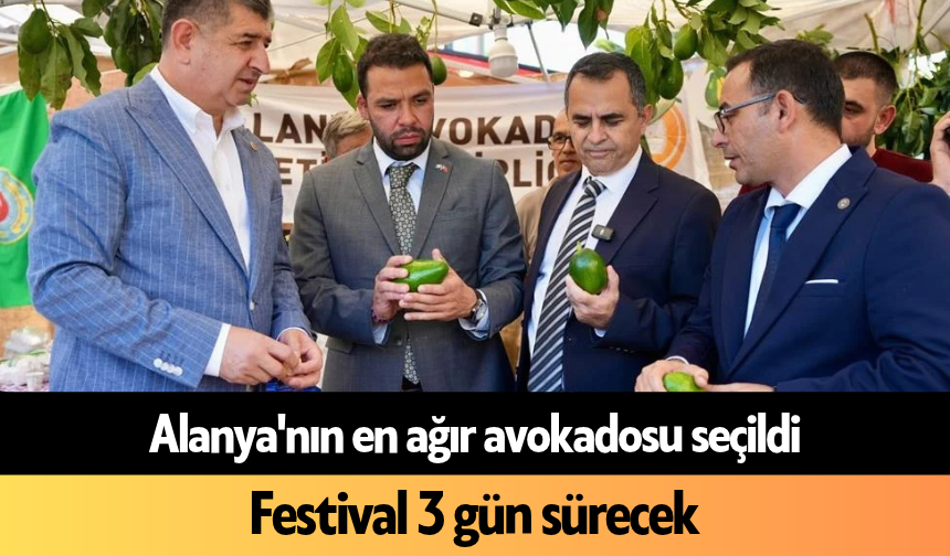 Alanya'nın en ağır avokadosu seçildi