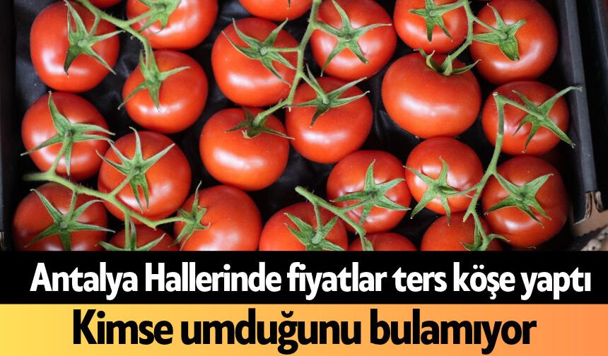 Antalya Hallerinde fiyatlar ters köşe yaptı