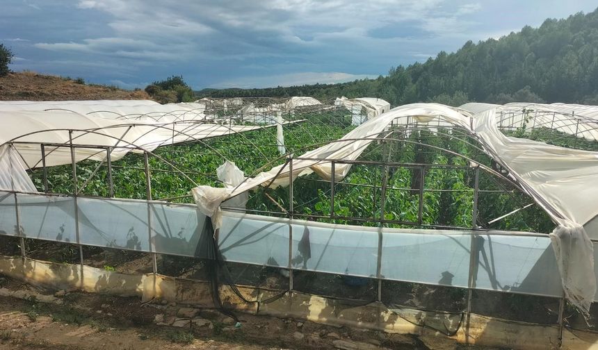 Antalya'da hortum yıktı geçti! Karada sera bırakmadı