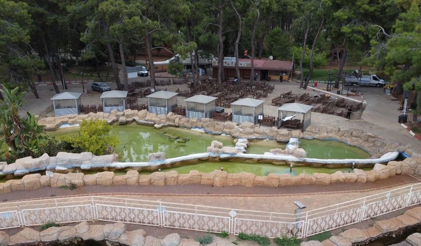 Antalya'da o orman girişlere kapatıldı