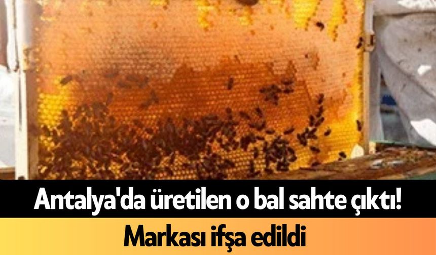Antalya'da üretilen o bal sahte çıktı! Markası ifşa edildi