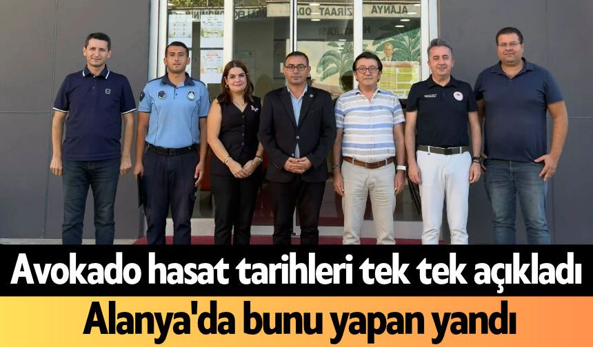 Avokado hasat tarihleri tek tek açıkladı, Alanya'da bunu yapan yandı