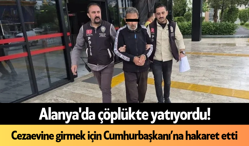 Alanya'da çöplükte yatıyordu! Cezaevine girmek için Cumhurbaşkanı'na hakaret etti