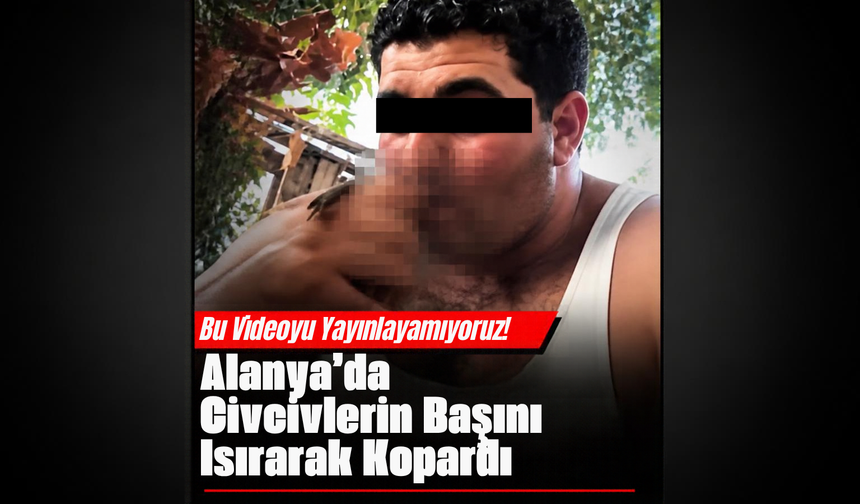 Bu videoyu yayınlayamıyoruz! Alanya'da civcivlerin başını ısırarak kopardı