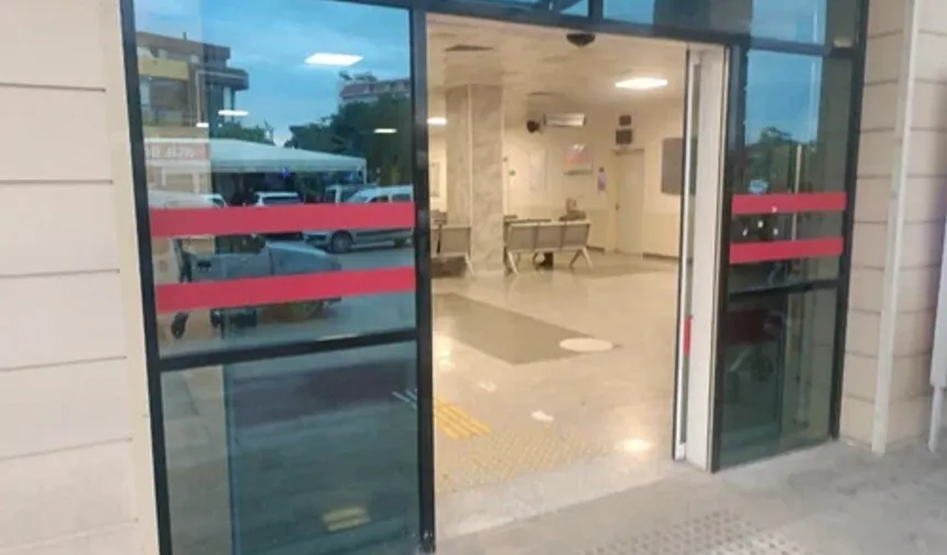 Alanya’da zeytin toplamak isterken acillik oldu
