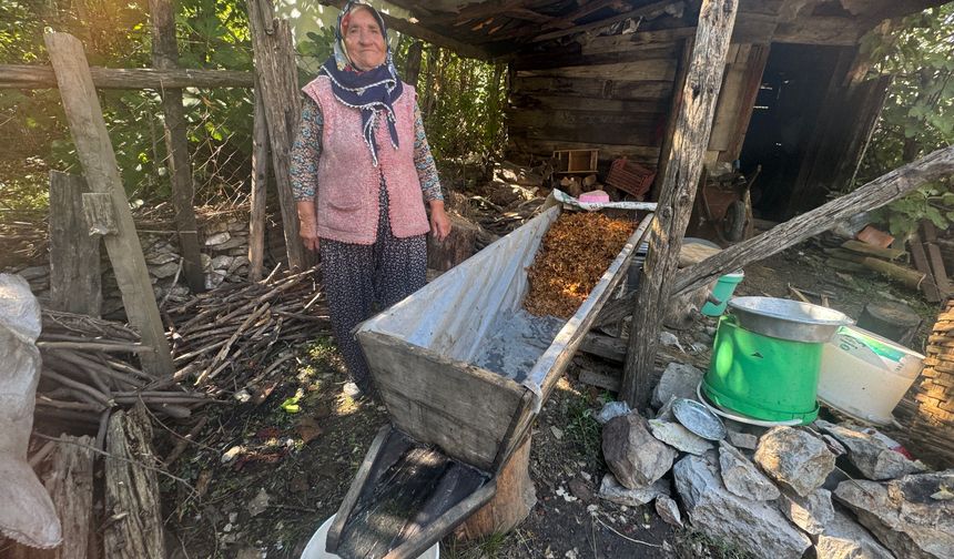 Toroslar’da 100 yıllık dede yadigarı tekneyle pekmez mesaisi
