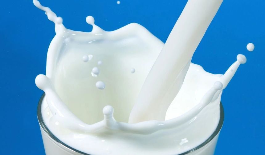 Türkiye'nin önde gelen süt markası icradan satışa çıktı
